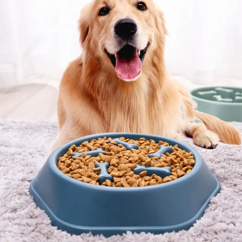 Slow Feeder Pet Bowl  Healthier Eating Starts Here (20% OFF) 🥣 +FREE SHIPPING
