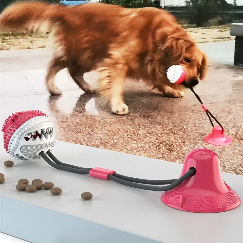 Suction Ball Interactive Dog Toy Low Stock Alert 🚨 FREE SHIPPING