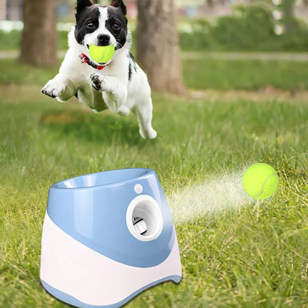 Automatic Tennis Ball Launcher 20% OFF🔥+ FREE SHIPPING