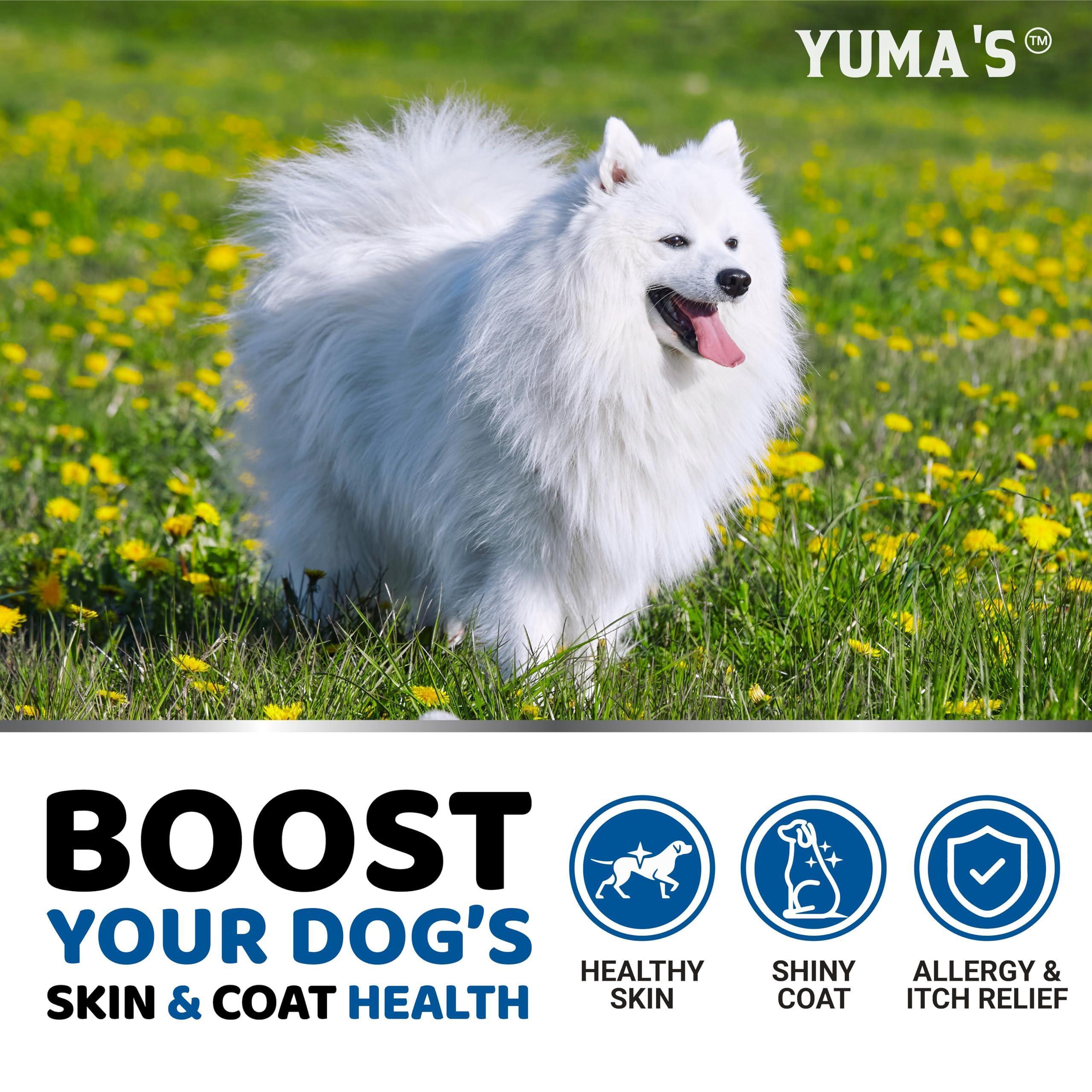 Omega 3 Skin & Coat Soft Chews for Dogs (170 Chews)