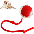 Smart Rolling Pet Ball FREE SHIPPING Almost Sold Out 🚨