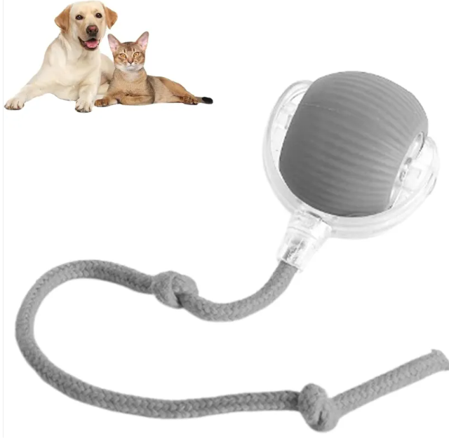Smart Rolling Pet Ball FREE SHIPPING Almost Sold Out 🚨