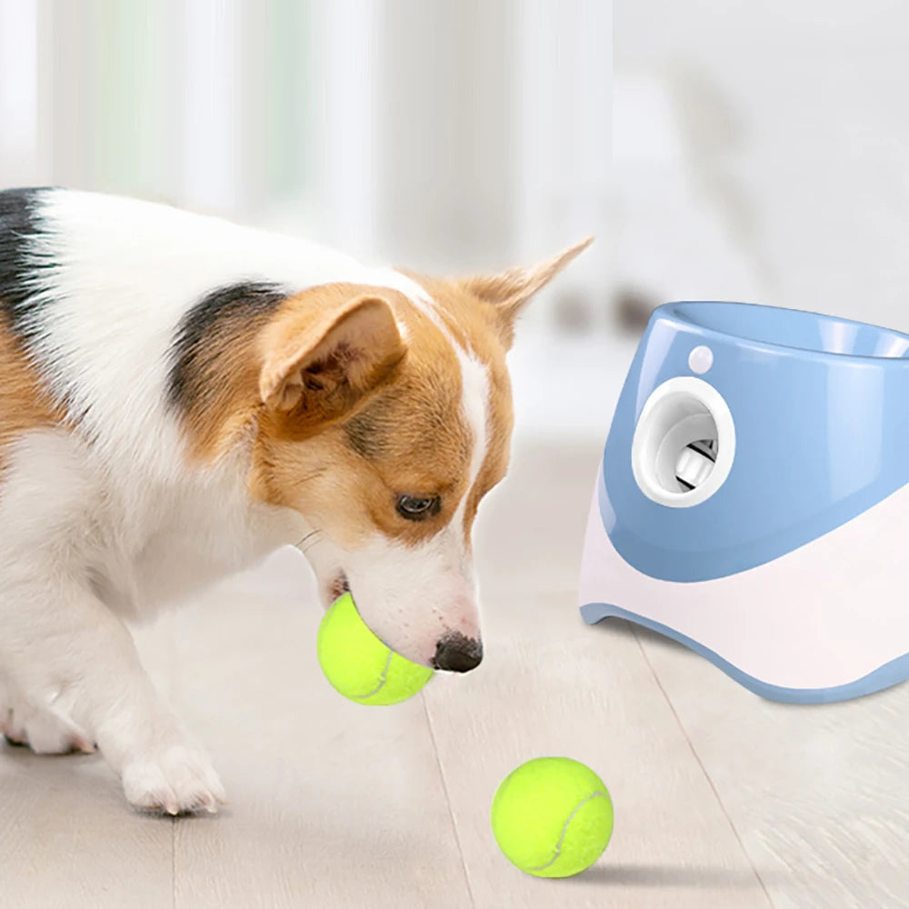 Automatic Tennis Ball Launcher 20% OFF🔥+ FREE SHIPPING