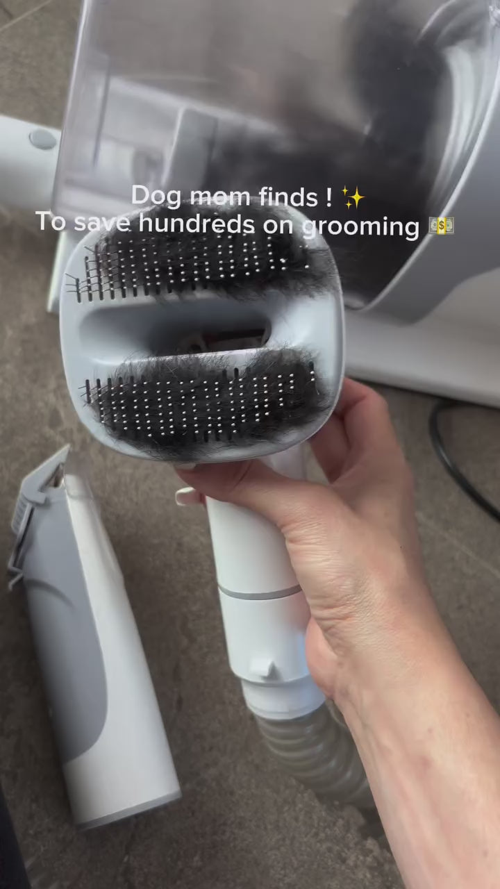 All-in-One Grooming & Vacuum System BEST SELLER